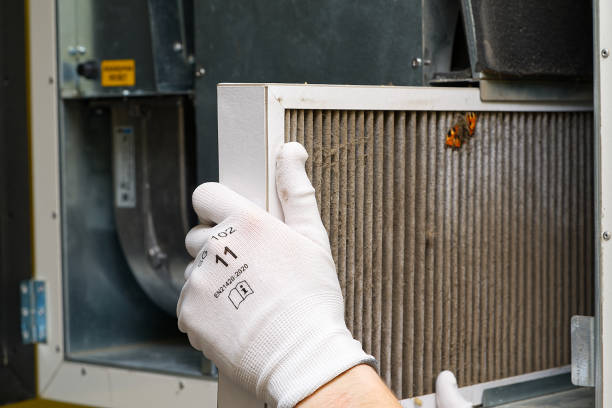 Best Ductwork Cleaning Services  in French Valley, CA